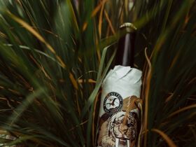 Bierige Auszeit im modernen Braugasthof