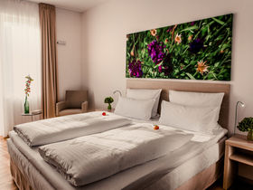 2 Tage Pfötchen- Reise an den Großbehnitzer See- 2 Hunde reisen Gratis!