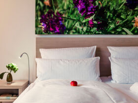 2 Tage Pfötchen- Reise an den Großbehnitzer See- 2 Hunde reisen Gratis!