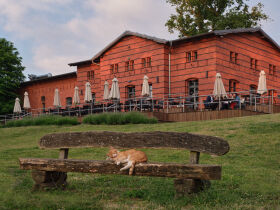 2 Tage Pfötchen- Reise an den Großbehnitzer See- 2 Hunde reisen Gratis!