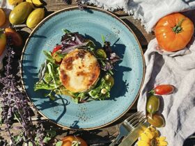 2 Tage Pfötchen- Reise an den Großbehnitzer See- 2 Hunde reisen Gratis!