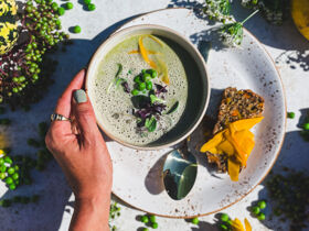 2 Tage Pfötchen- Reise an den Großbehnitzer See- 2 Hunde reisen Gratis!