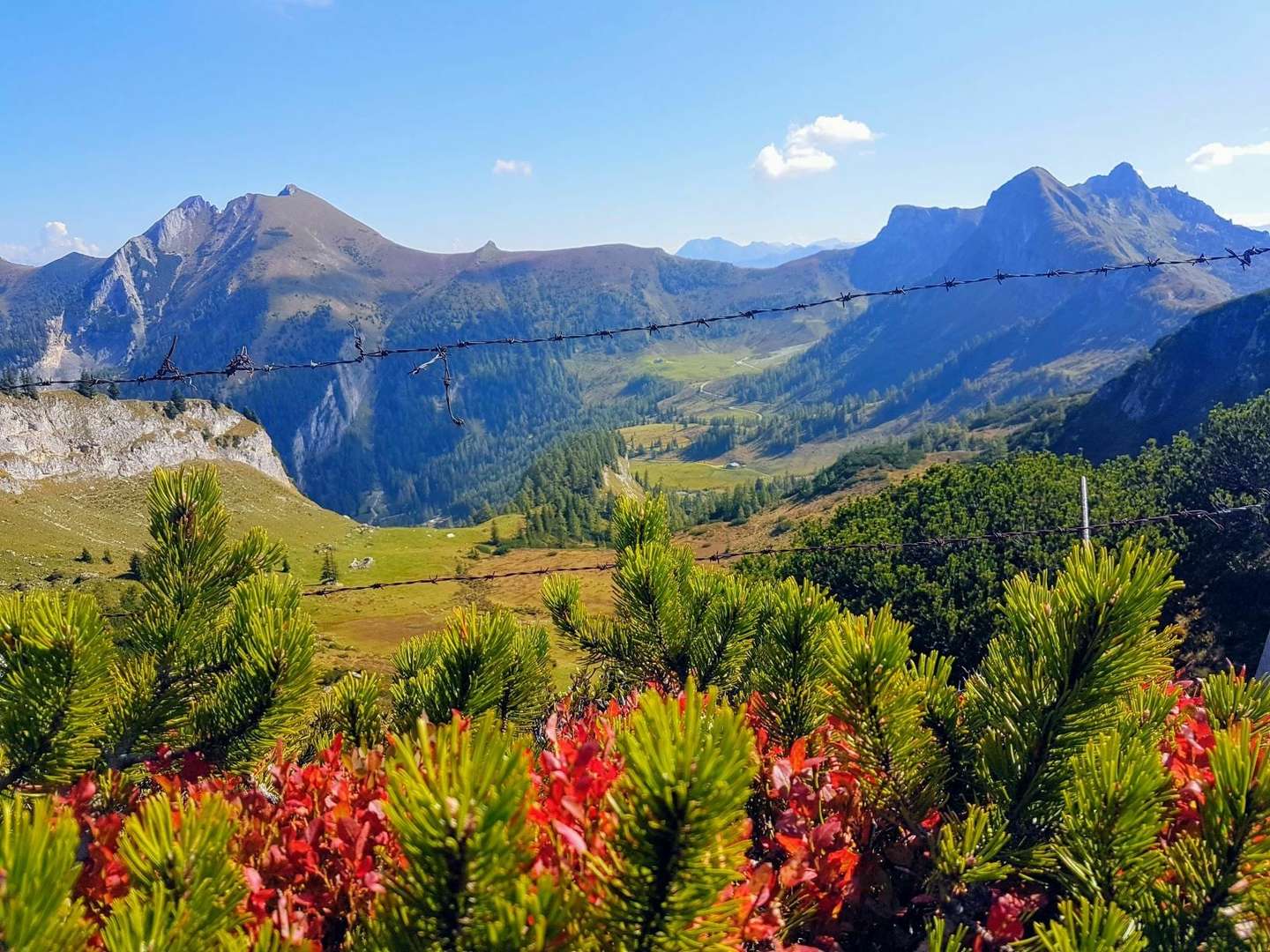 Pfingstferien und Fronleichnam - Kurzurlaub im Großarltal mit Bergpanorama | 3 Nächte