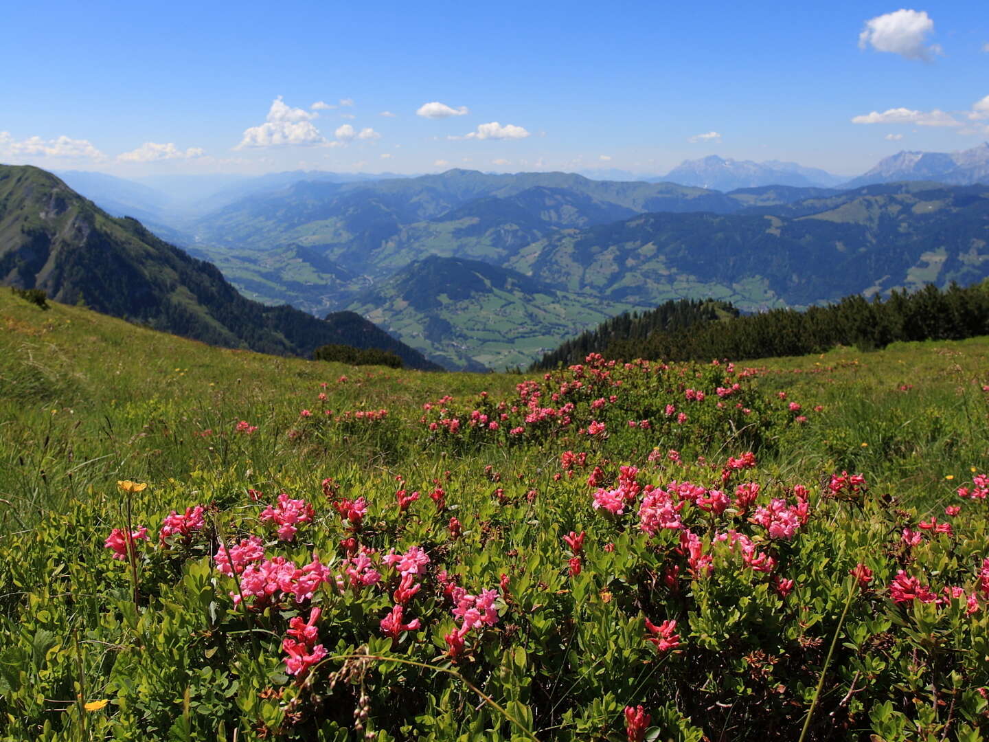 Pfingstferien und Fronleichnam - Kurzurlaub im Großarltal mit Bergpanorama | 3 Nächte