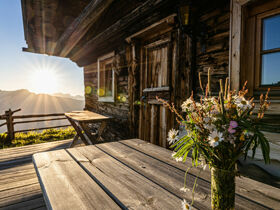 Wandertage im 4*S Hotel im Zillertal inkl. geführter Wanderungen | 4 Nächte A