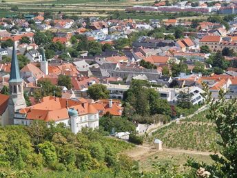 Wienerwald-Erholung im Weinort Gumpoldskirchen inkl. Frühstück | 3 Nächte
