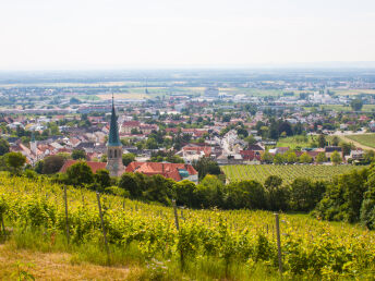 Wienerwald-Erholung im Weinort Gumpoldskirchen inkl. Frühstück | 3 Nächte