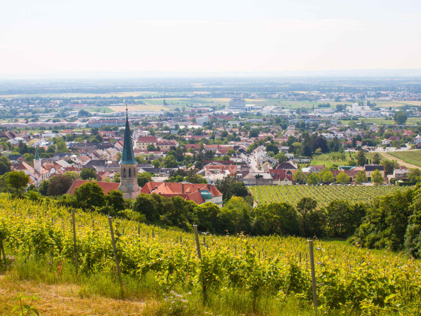 Wienerwald-Erholung im Weinort Gumpoldskirchen inkl. Frühstück | 3 Nächte