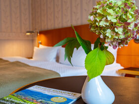 Suite Dreams in Görlitz