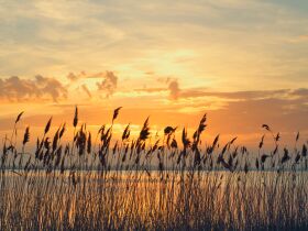 Lakeside Long Stay – Genuss & Erholung 