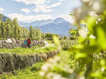 Urlaub mit Geschmack: 4-Gang-Menü & Entspannung in Südtirol | 4 Nächte