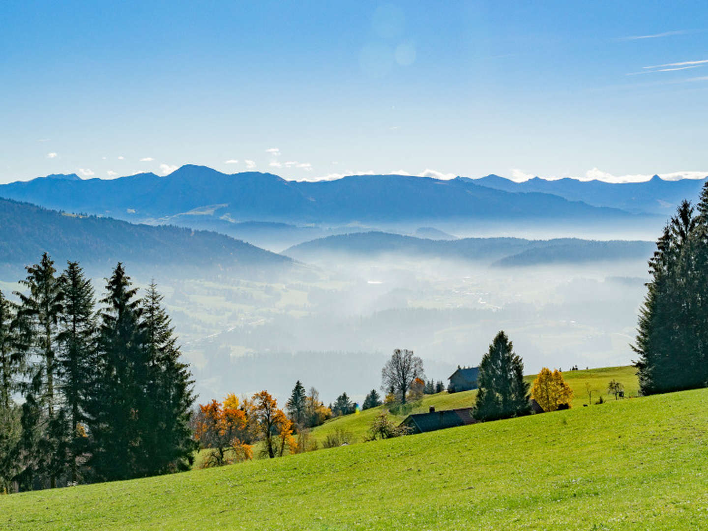 Städtetrip nach Bregenz - Natur, Kultur & unvergessliche Erlebnisse am Bodensee | 1 Nacht