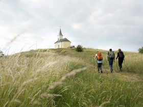Kurzurlaub Natur pur - Auszeit genießen im Weinviertel | 1 Nacht