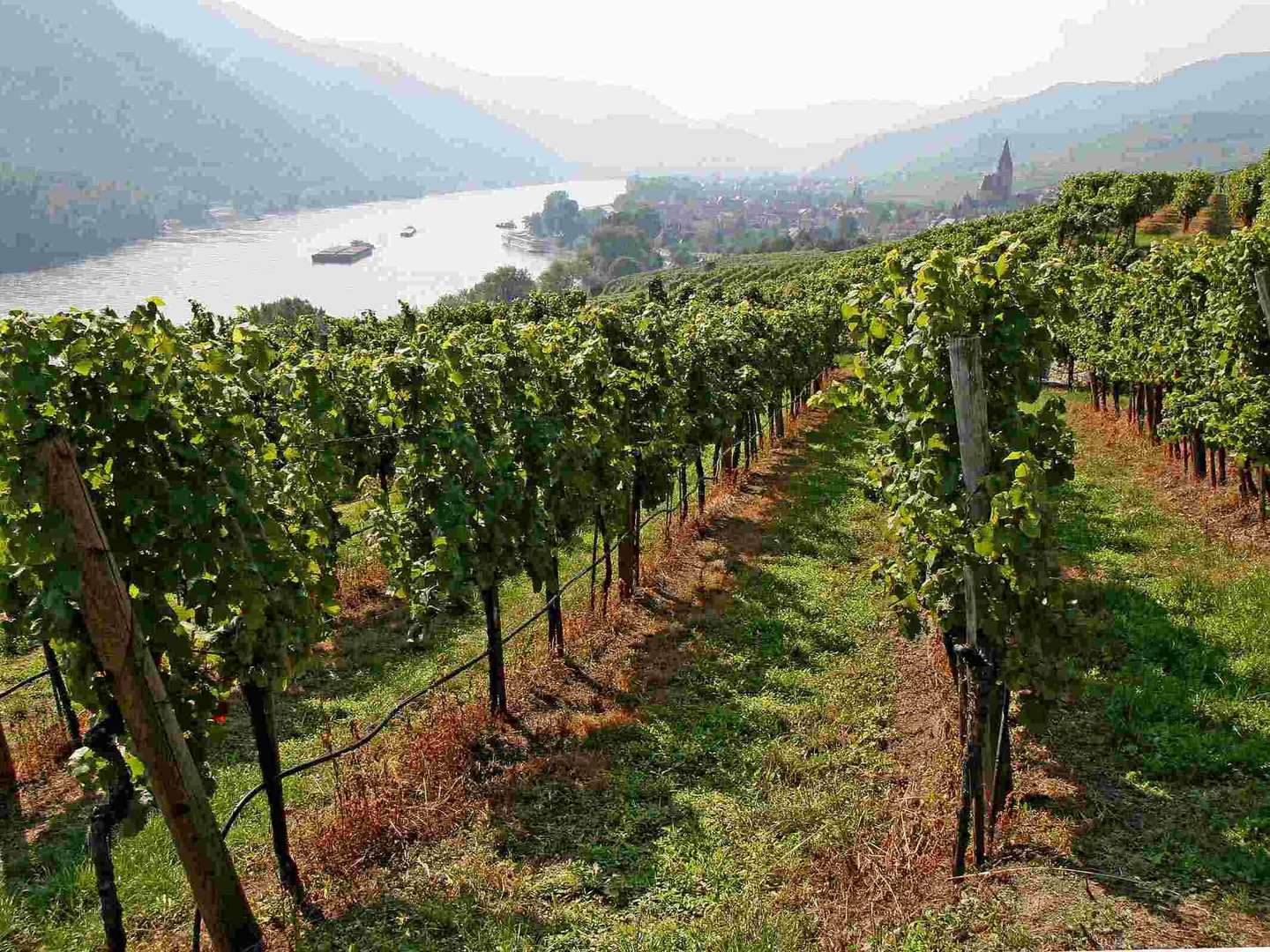 Genussurlaub im Weinviertel inkl. Sekt & 5-Gang-Menü | 3 Nächte