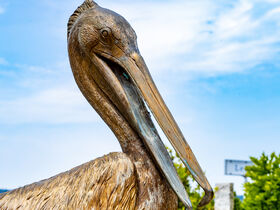 Auszeit am Starnberger See 