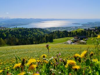 Kurzurlaub nahe Bodensee in Vorarlberg | 4 Nächte