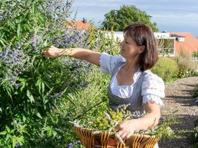 Höchsten Start in die Woche 