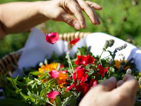 Höchsten Start in die Woche 