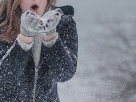 Winterzauber im Weinberg | 3 Tage