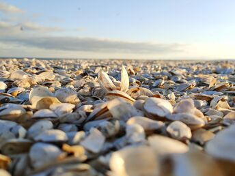 Gesundheitsurlaub an der polnischen Ostsee in Swinemünde
