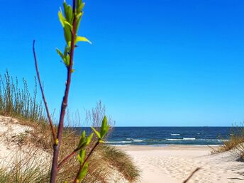 Gesundheitsurlaub an der polnischen Ostsee in Swinemünde