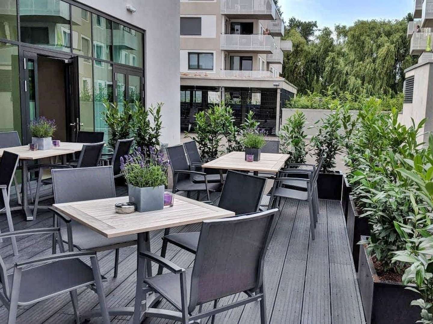 Romantische AusZeit an der Donau - Stilvolle Erholung an der Donau inkl. Wein | 2 Nächte