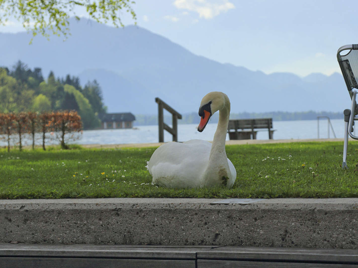 Zauberhafter Winterurlaub direkt am Wolfgangsee | 2 Nächte 