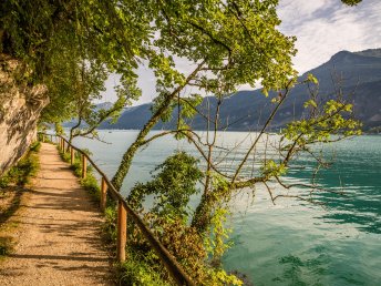 Frühlingserwachen am Wolfgangsee - Natur pur im Salzburger Land | 3 Nächte