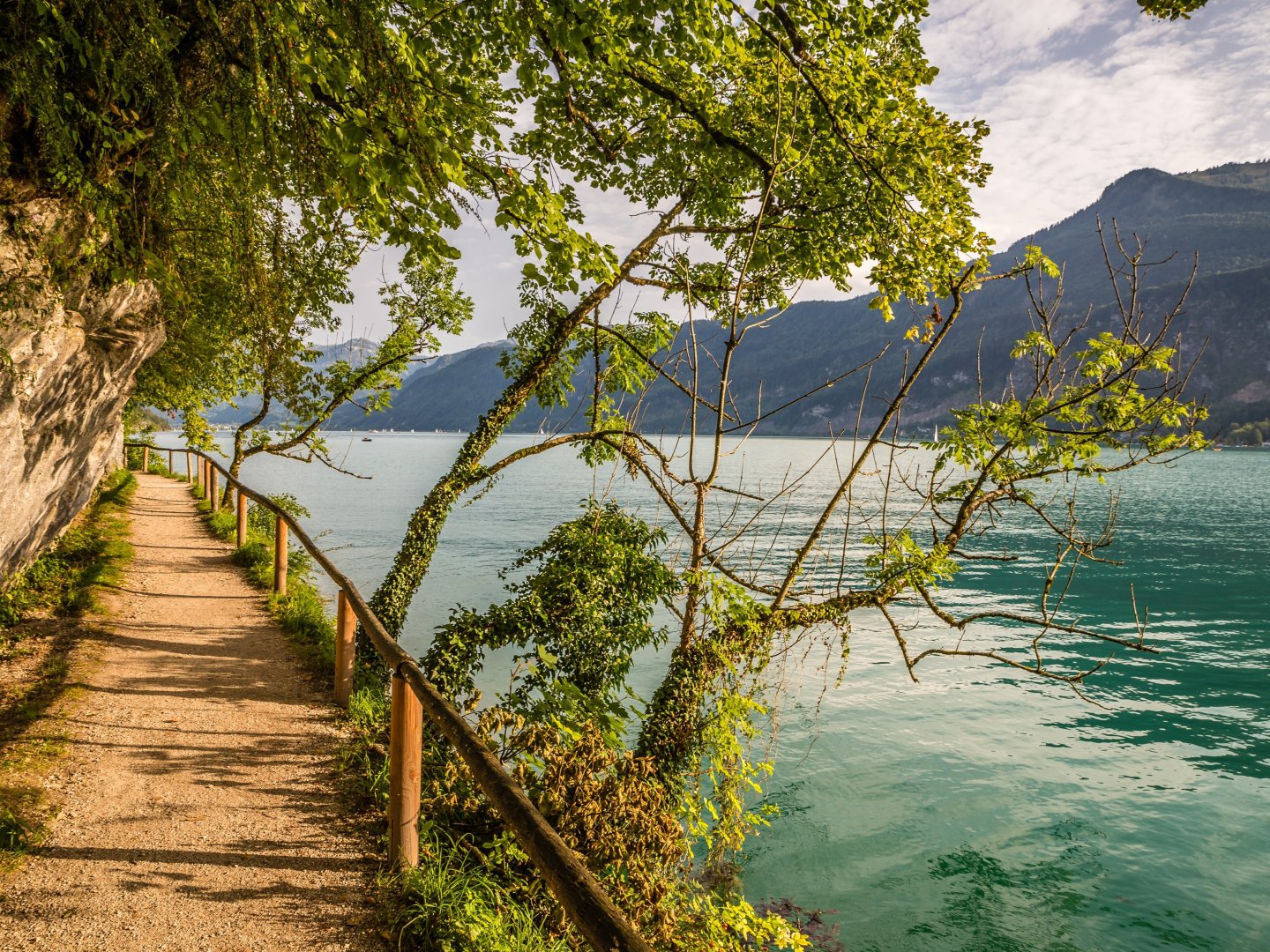 Frühlingserwachen am Wolfgangsee - Natur pur im Salzburger Land | 3 Nächte