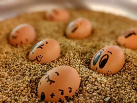 3 Tage Fränkischer Kurztrip inkl. Abendessen, Brauereiführung & Stadtführung Bamberg