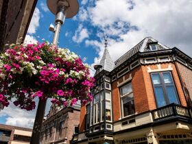 Entspannung und Natur in der Provinz Garderen Niederlande 