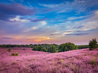 Kurzurlaub nahe Arnhem: Kultur und Natur erleben 2 Nächte