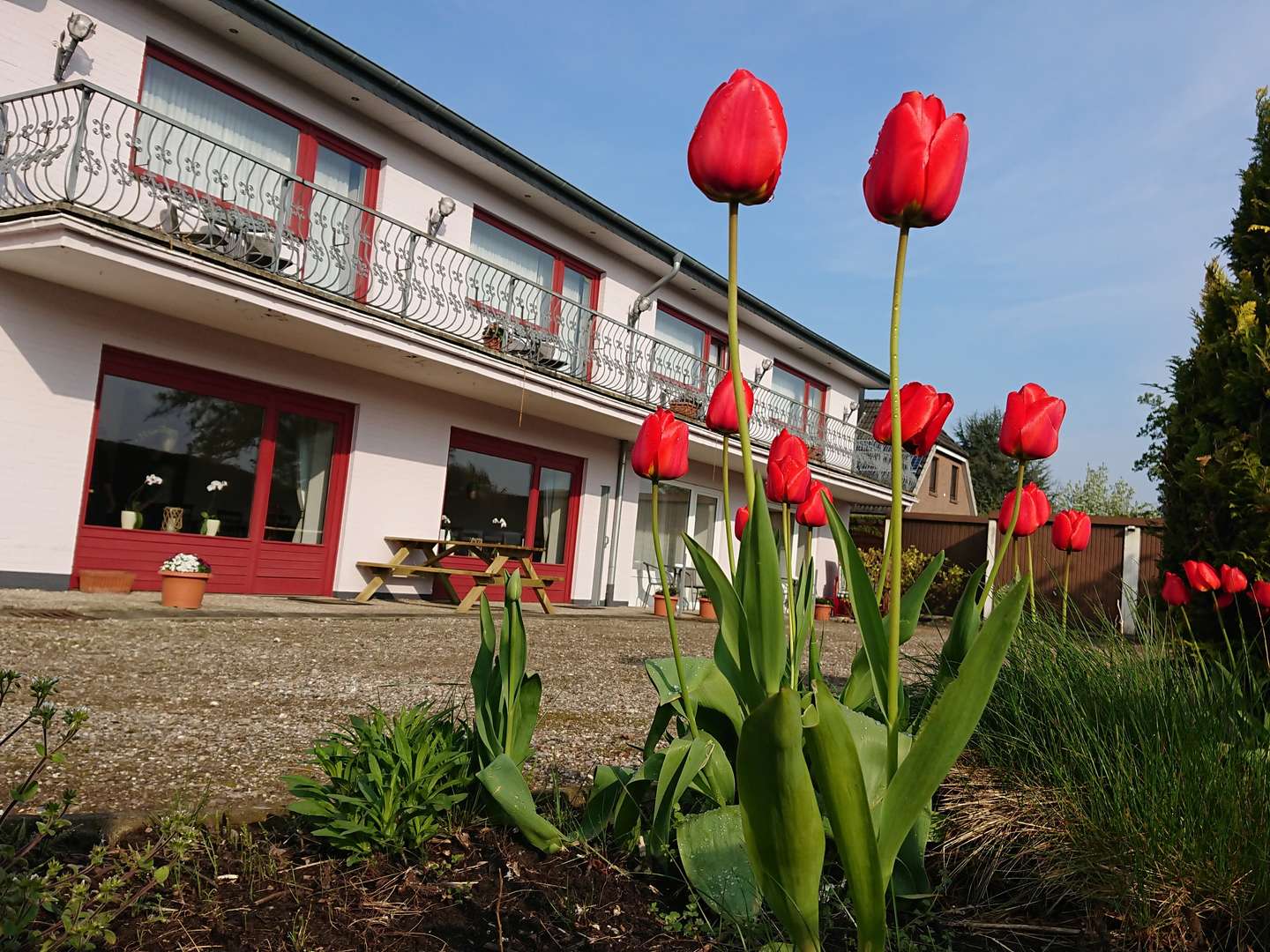 Schnupper-Frühjahr an der Schlei