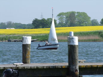 Schnupper-Frühjahr an der Schlei