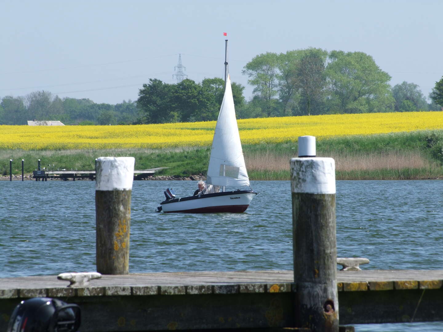 Schnupper-Frühjahr an der Schlei