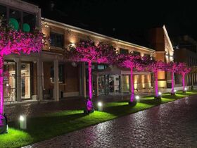 Sonntag Nacht Special auf der Schwäbischen Alb