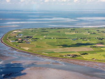 Kurzentschlossen an die Nordsee