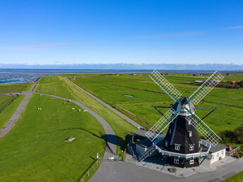 Kurzentschlossen an die Nordsee