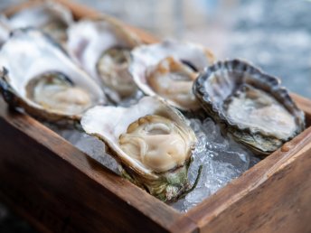 Austern & Meer | 3 Tage Nordsee in Bremerhaven erleben