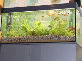 Auf Schusters Rappen-  5 Tage Wanderlust im Erzgebirge inkl. Halbpension 