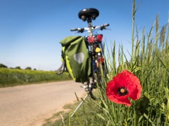 Wein & Bike Special im Thermen- und Vulkanland | 3 Tage