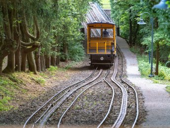 Scampi satt und das schrägste Wahrzeichen Wiesbadens