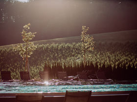 Weingenuss mit Wellness in der  Südsteiermark | 2 Nächte | Adults Only