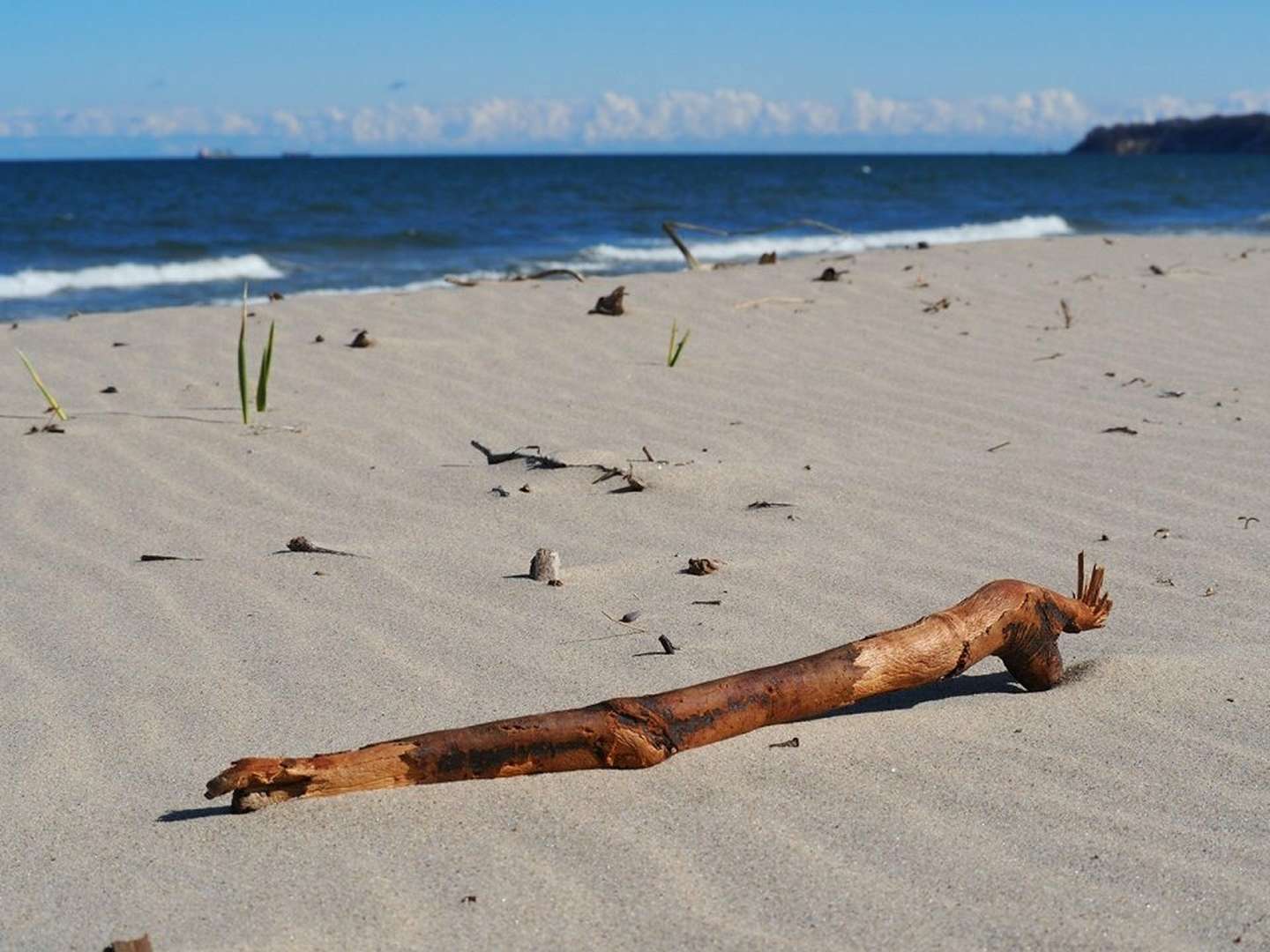 Goldener Oktober auf Rügen - Ostsee Special inkl. Sauna I 3 Nächte
