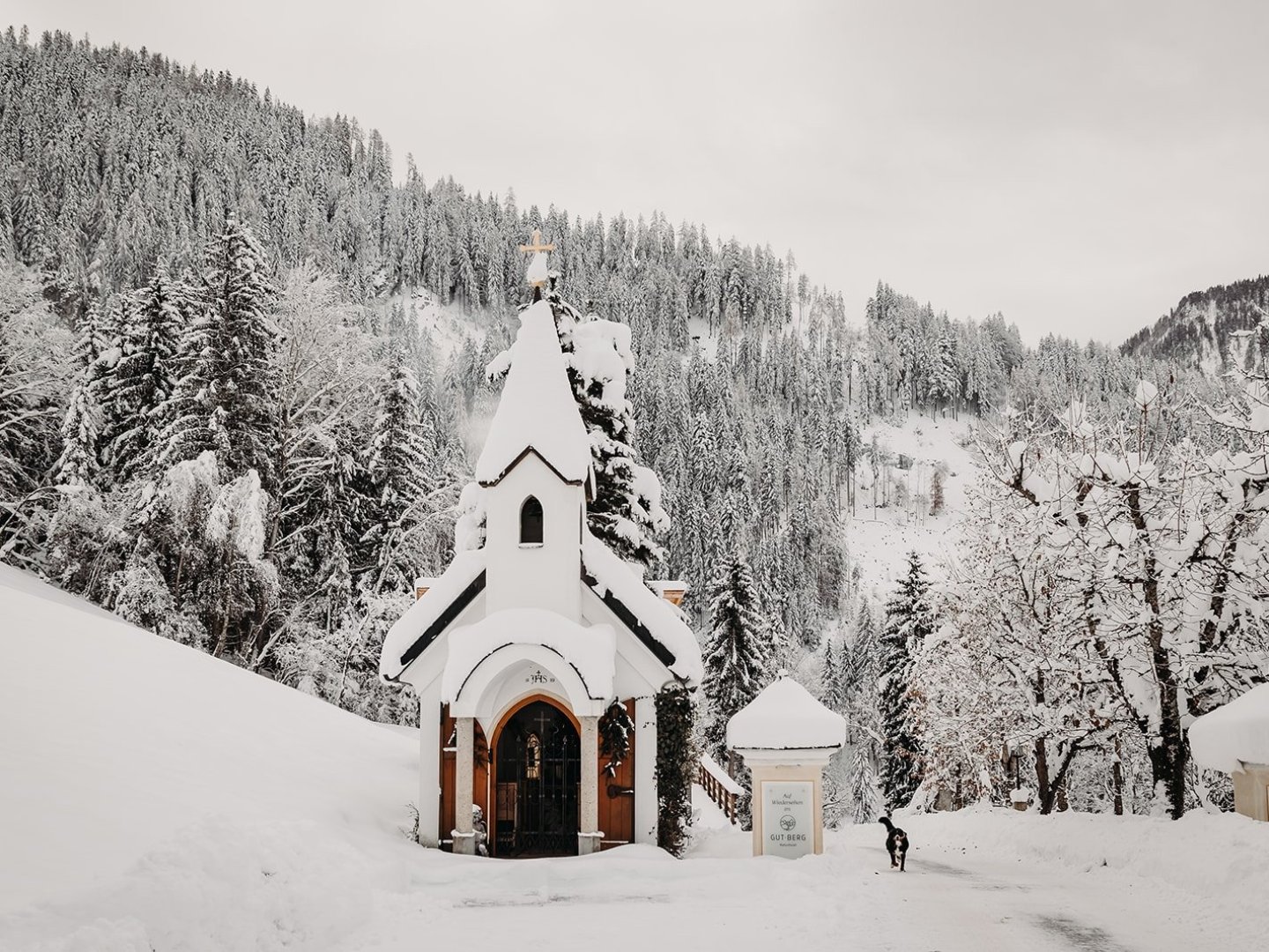 Familienurlaub in der Salzburger Bergwelt | Wandern & Bauernhoferlebnisse  5 Nächte