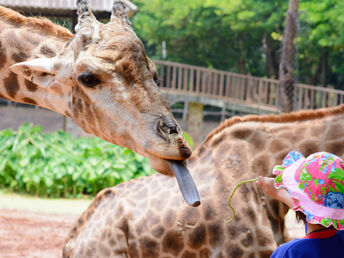 Kurzurlaub inkl. Zoo Wuppertal