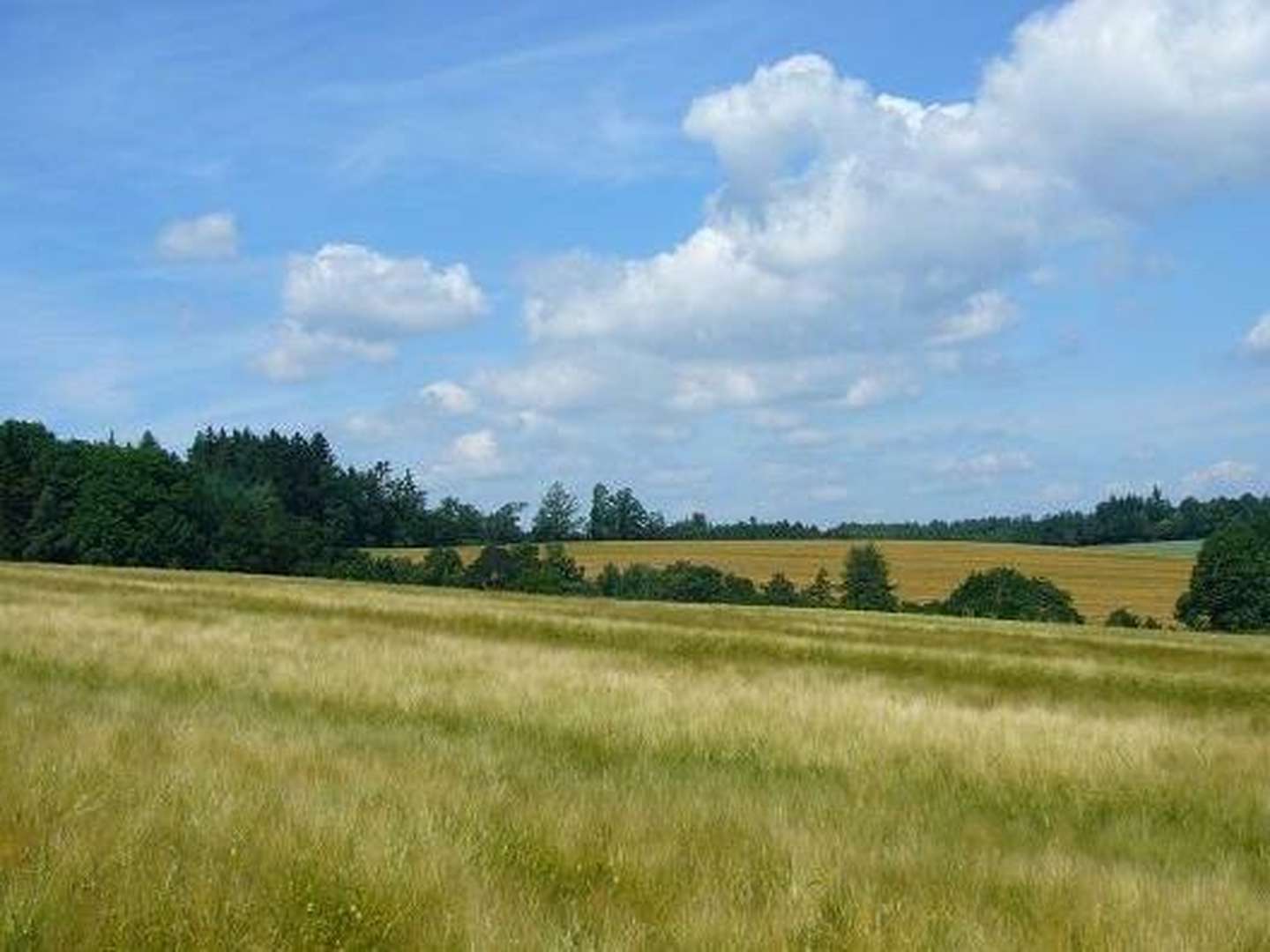 Wohlfühl-Tage Spezial 3 Tage 2025