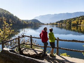 Ein Naturerlebnis - Goldener Herbst am Montiggler See | 4 Nächte