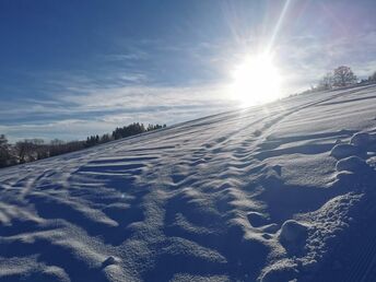Bild 28 von 30