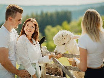 Erholungsurlaub in der Steiermark - Auszeit in der Natur inkl. regionales Frühstück | 4 Nächte